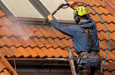Démoussage et hydrofuge de toiture à Voglans